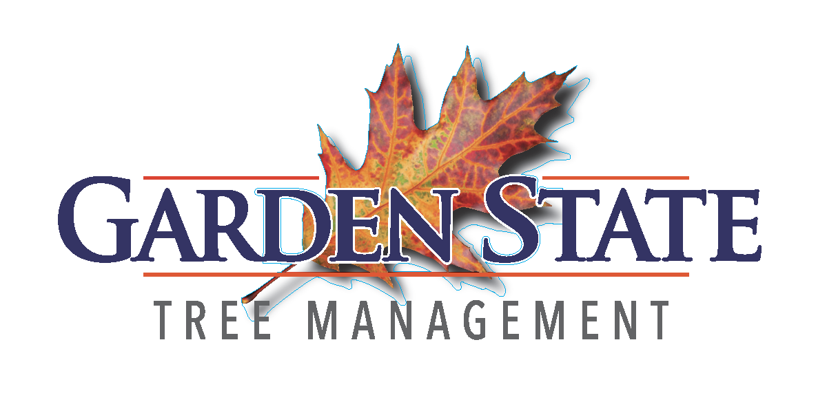 Garden State Tree Managment Logo (4) (1)